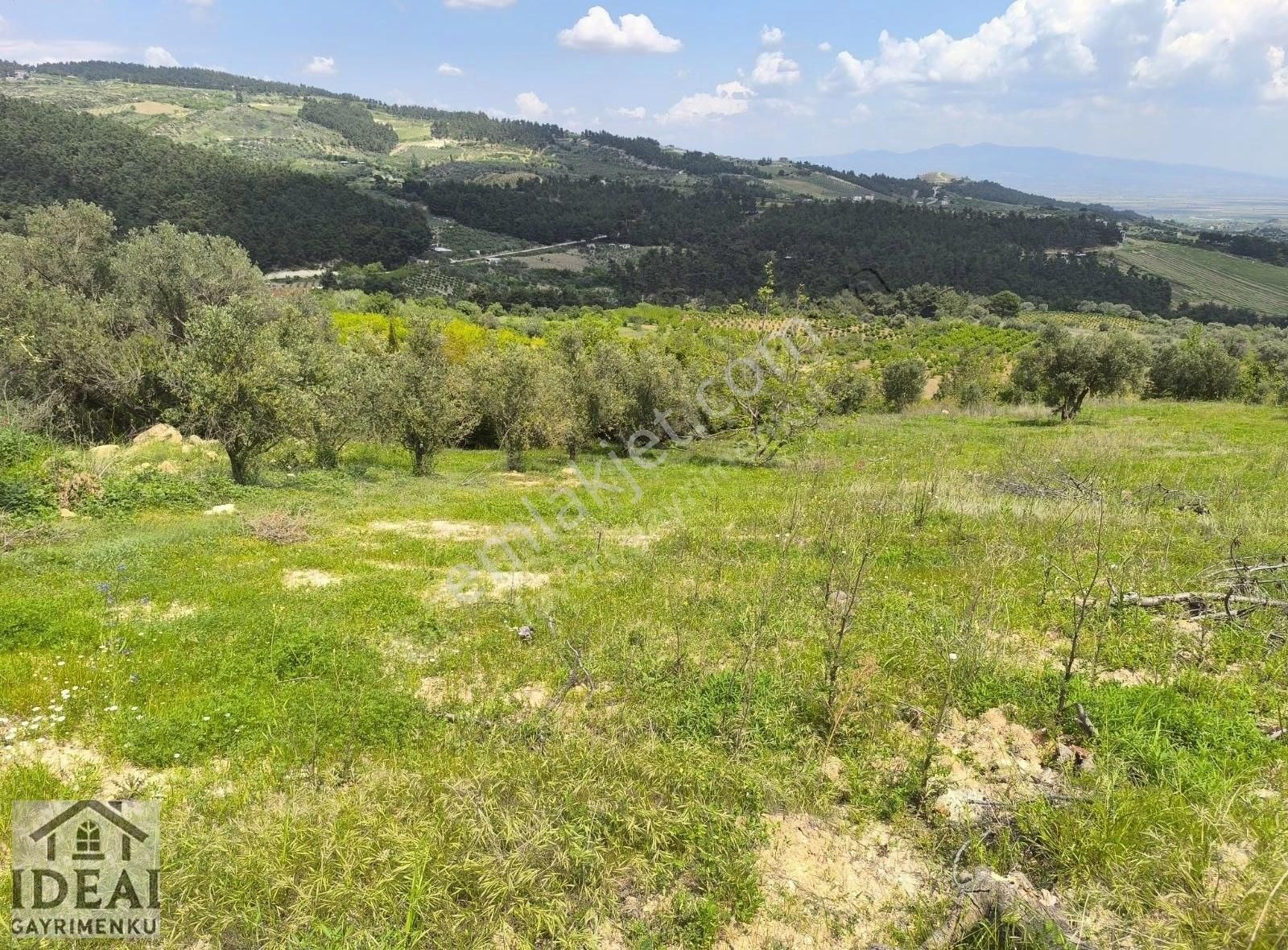 Manisa Sancakli Kayadibi 6500m2 Köye Sınır Arazi 4.450.000tl