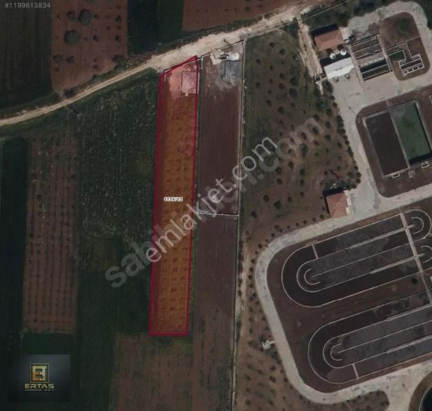 Ertaş Group'tan Oğuzeli Körkün Mah. Satılık 2500 M2 Tarla