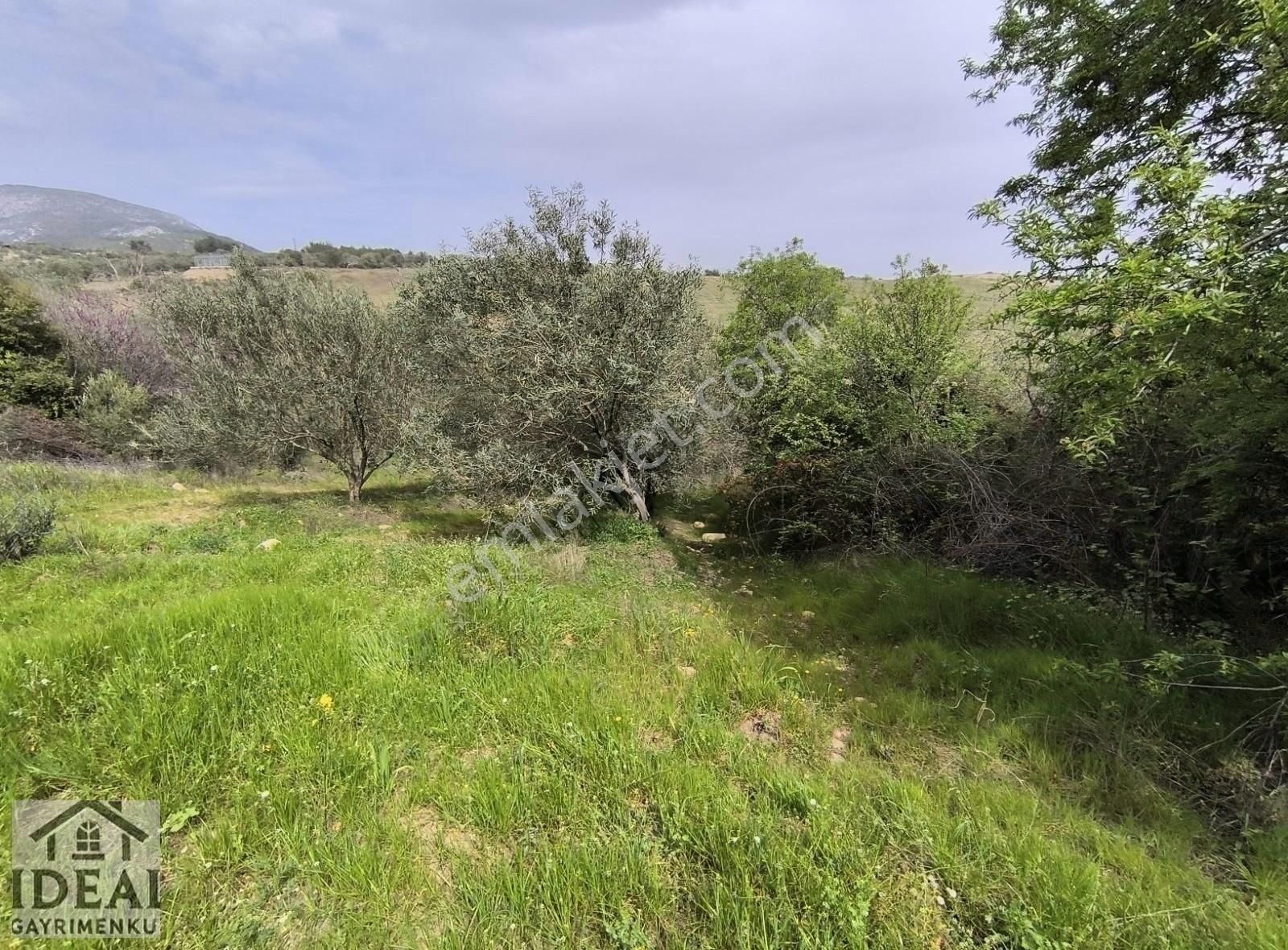 Manisa Sancaklı Uzunçınar'da 982m2tapu+400m2 Hazine Arazili - Görsel 2