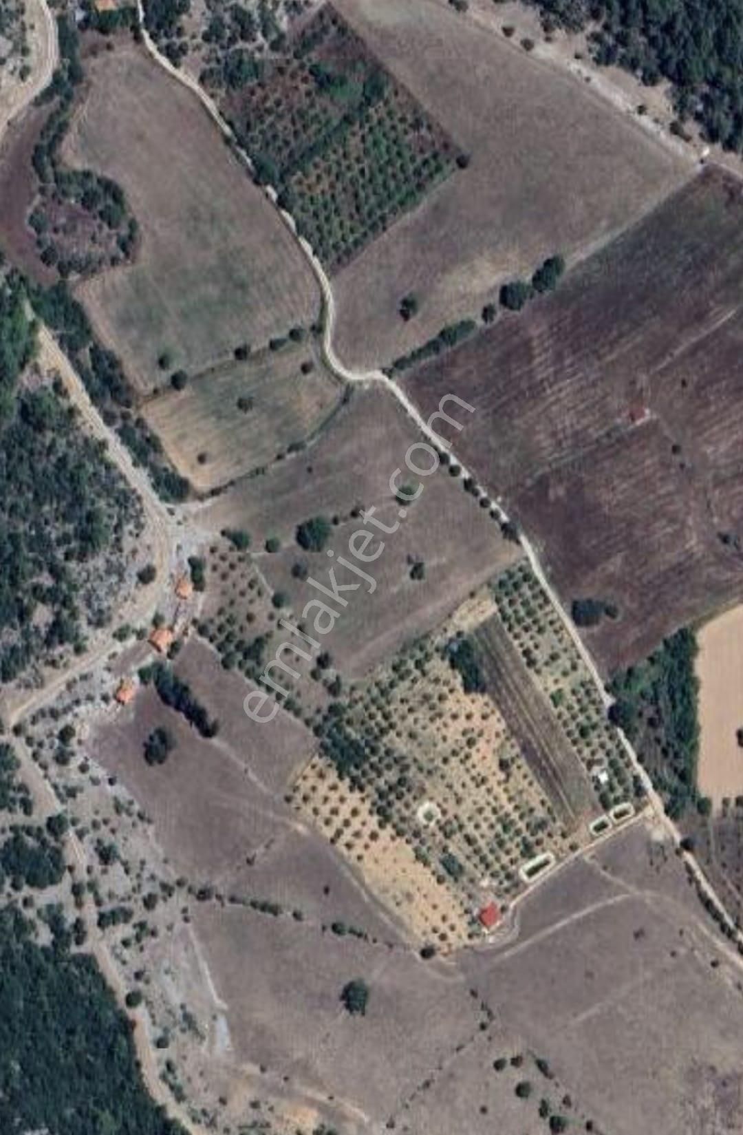 Ayb Gayrimenkulden Fethiye Çengerde Satılık 33 Dönüm Tarla
