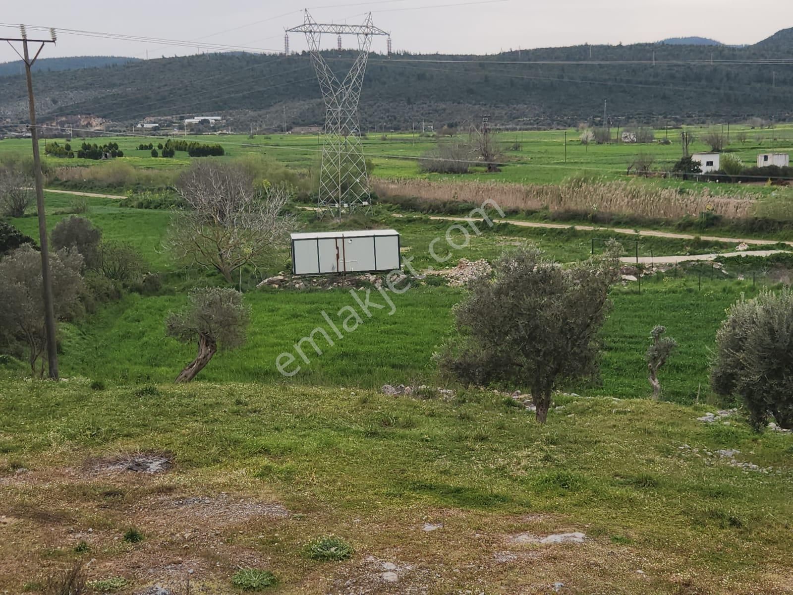 Tayman'dan Yatırımlık Tarla