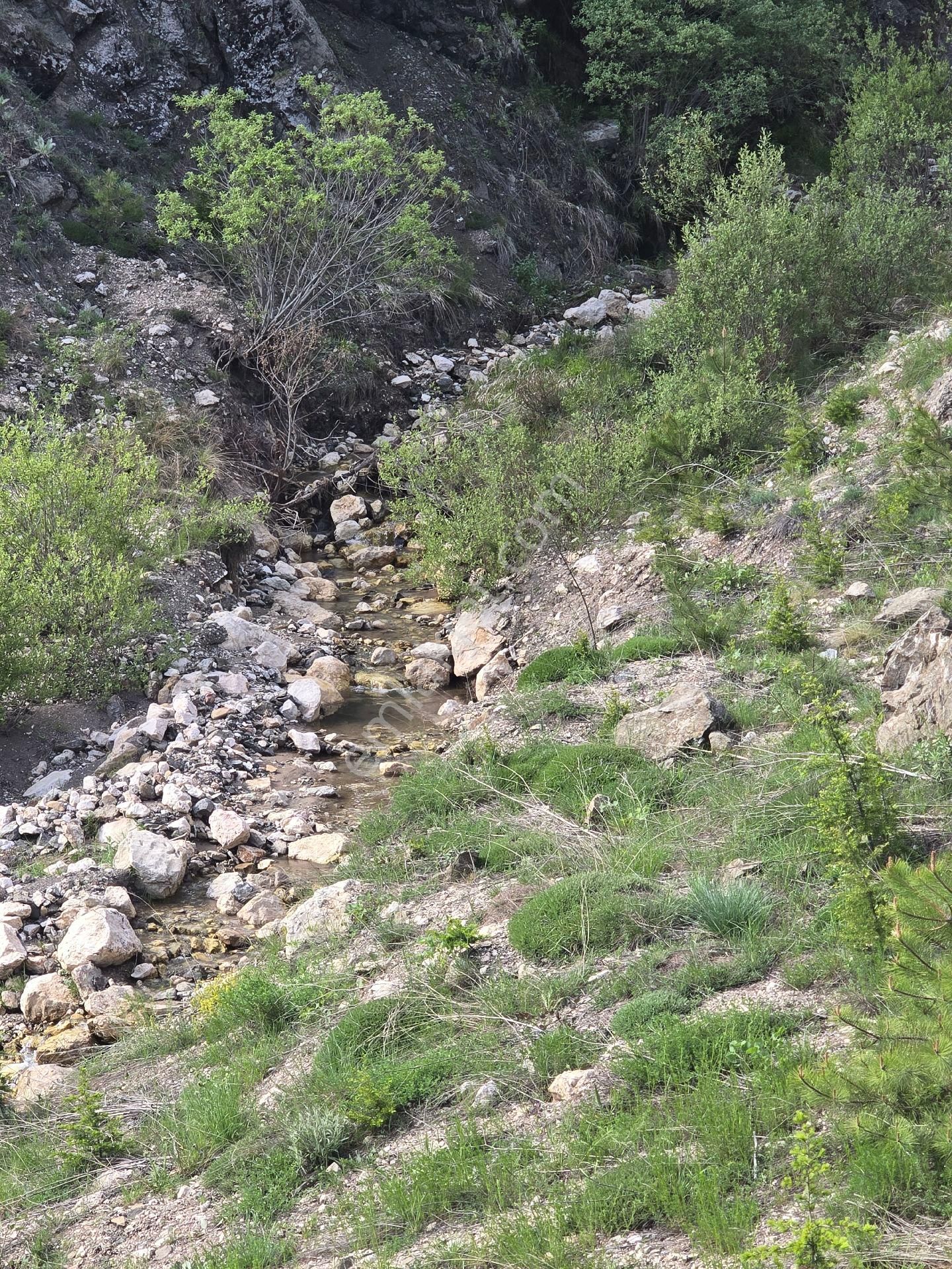 Antalya Konyaaltı Geyikbayırı Tek Tapu