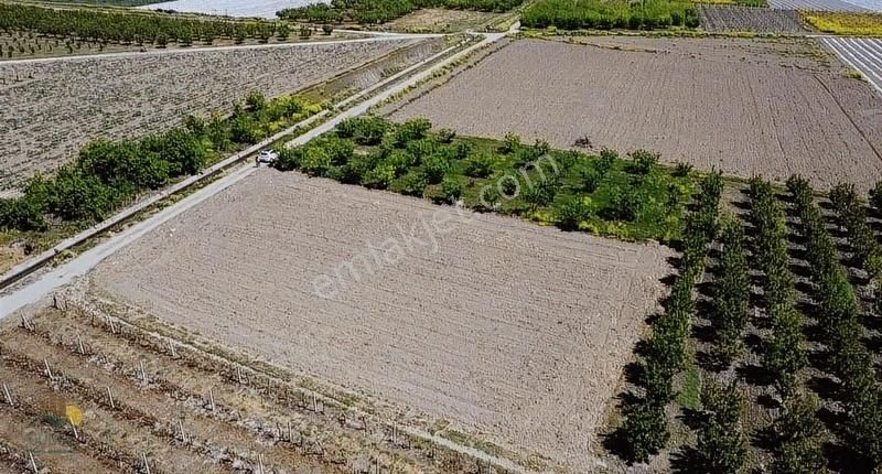 Sakarya Pamukova Fevziye Mahallesi'nde Tarla