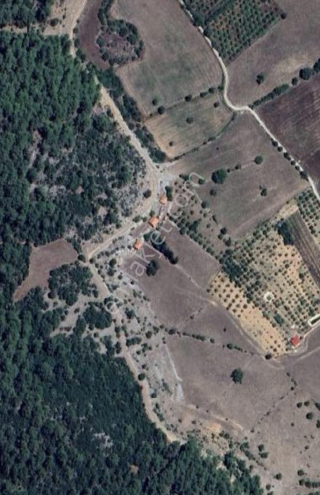 Ayb Gayrimenkulden Fethiye Çengerde Yatırımlık Bungalov Turizmine Uygun 5800 M² Tarla