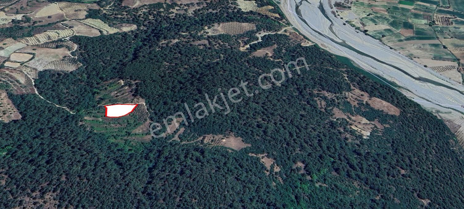 Muğla Menteşe Esençay'da 2975m² Satılık Yatırımlık Tarla