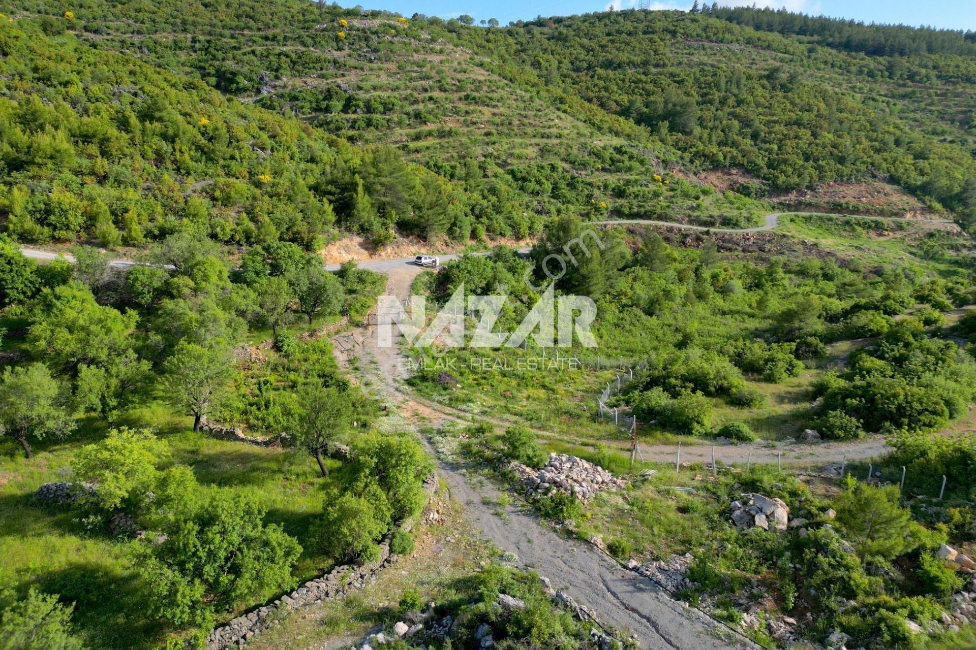 Alanya Gözübüyük’de Satılık 5.457 M² Yatırımlık Tarla