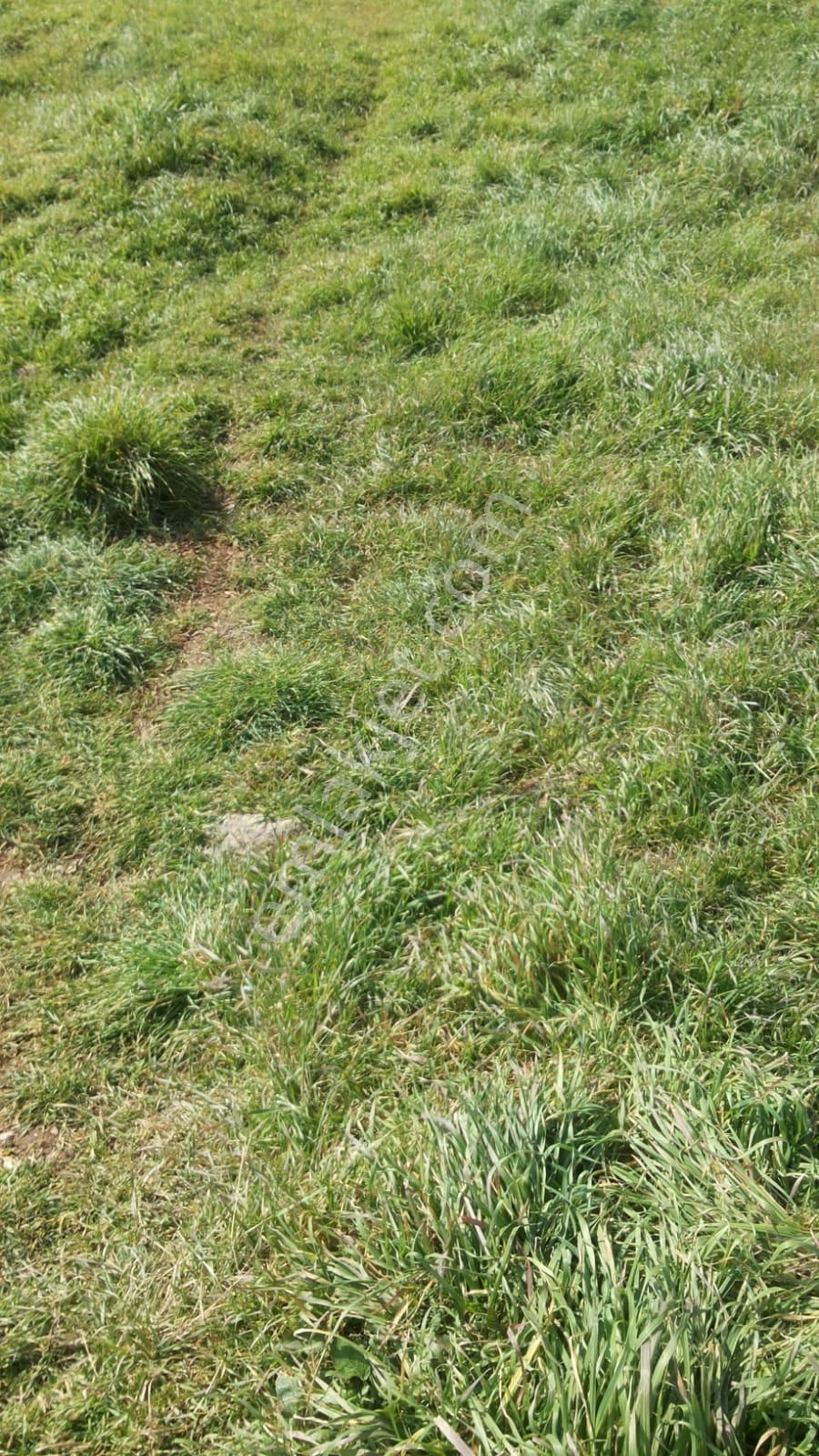 İzmit Mecidiye De 5000m Satılık Düşeş Kazandıracak Yatırımlık Arsa No:243