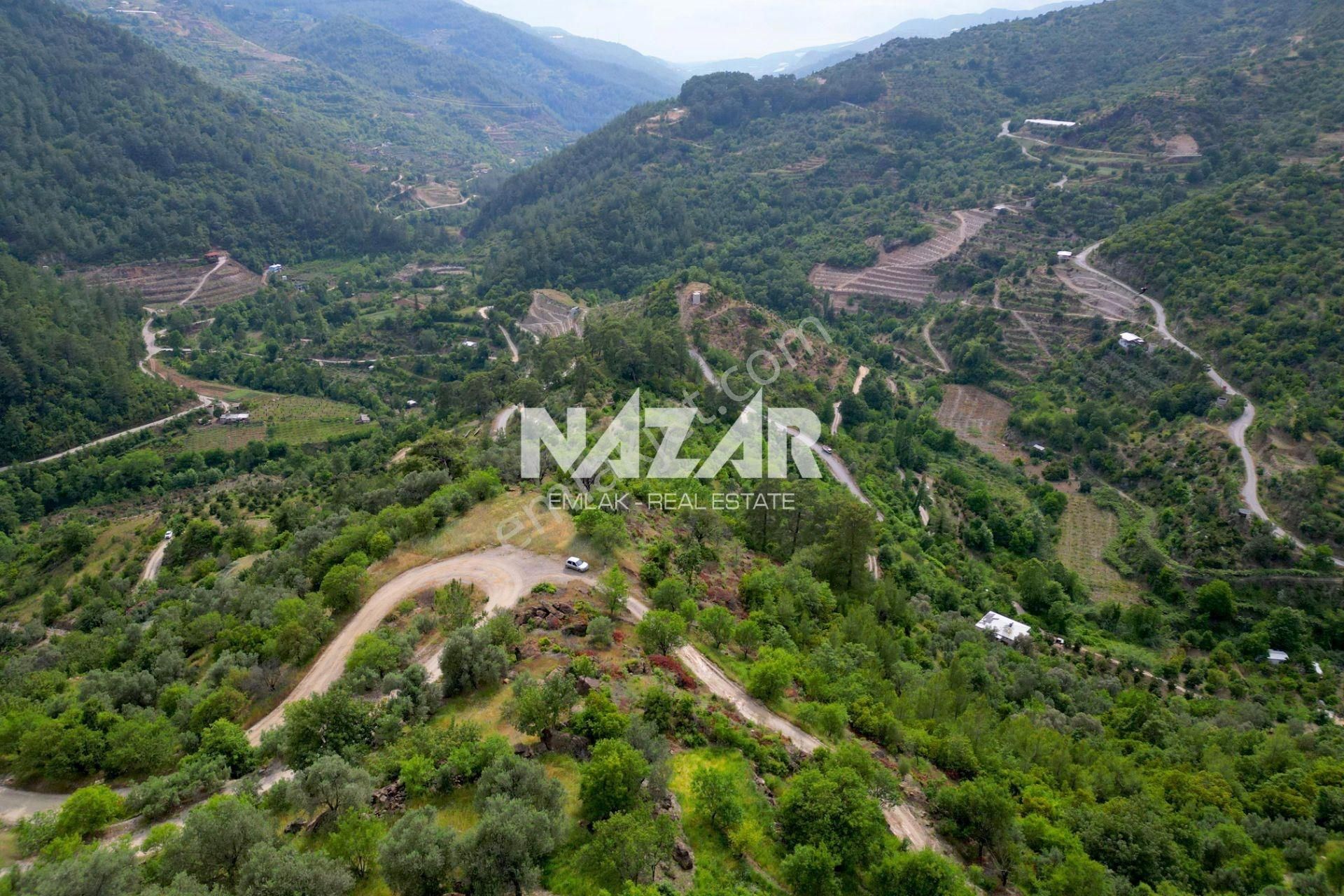 Alanya Gümüşgöze’de Satılık 4.570 M² Doğa İçinde Tarla