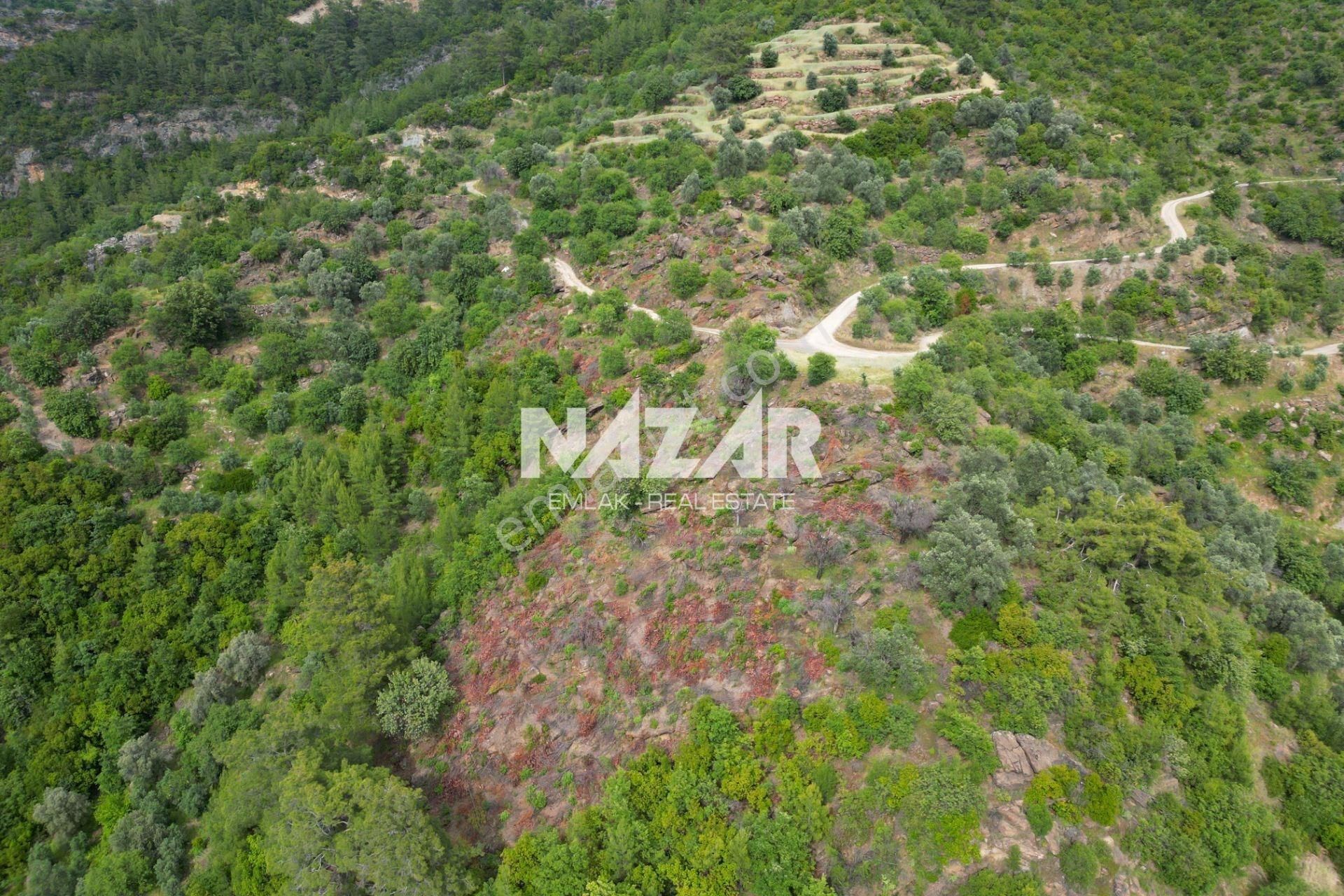 Alanya Gümüşgöze’de Satılık 4.570 M² Doğa İçinde Tarla - Görsel 17