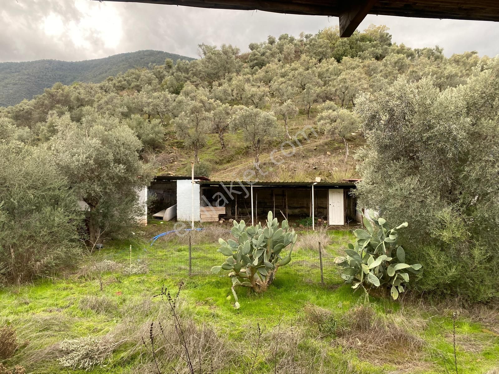 Bodrum Milas İzmir Karayoluna Cepheli Fırsat Arsa - Görsel 3