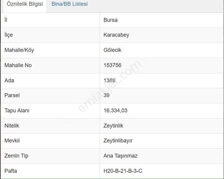 Karacabey Gölecik Köyünde Satılık Bakımlı Zeytinlik