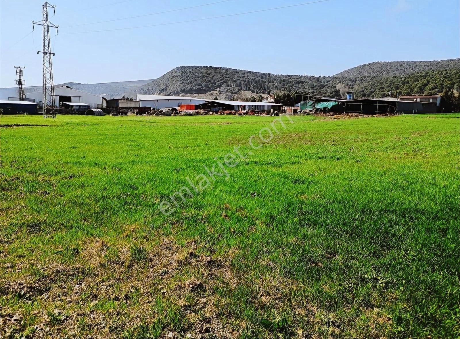 Karacabey Akçasusurlukta Satılık Mükemmel Arazi