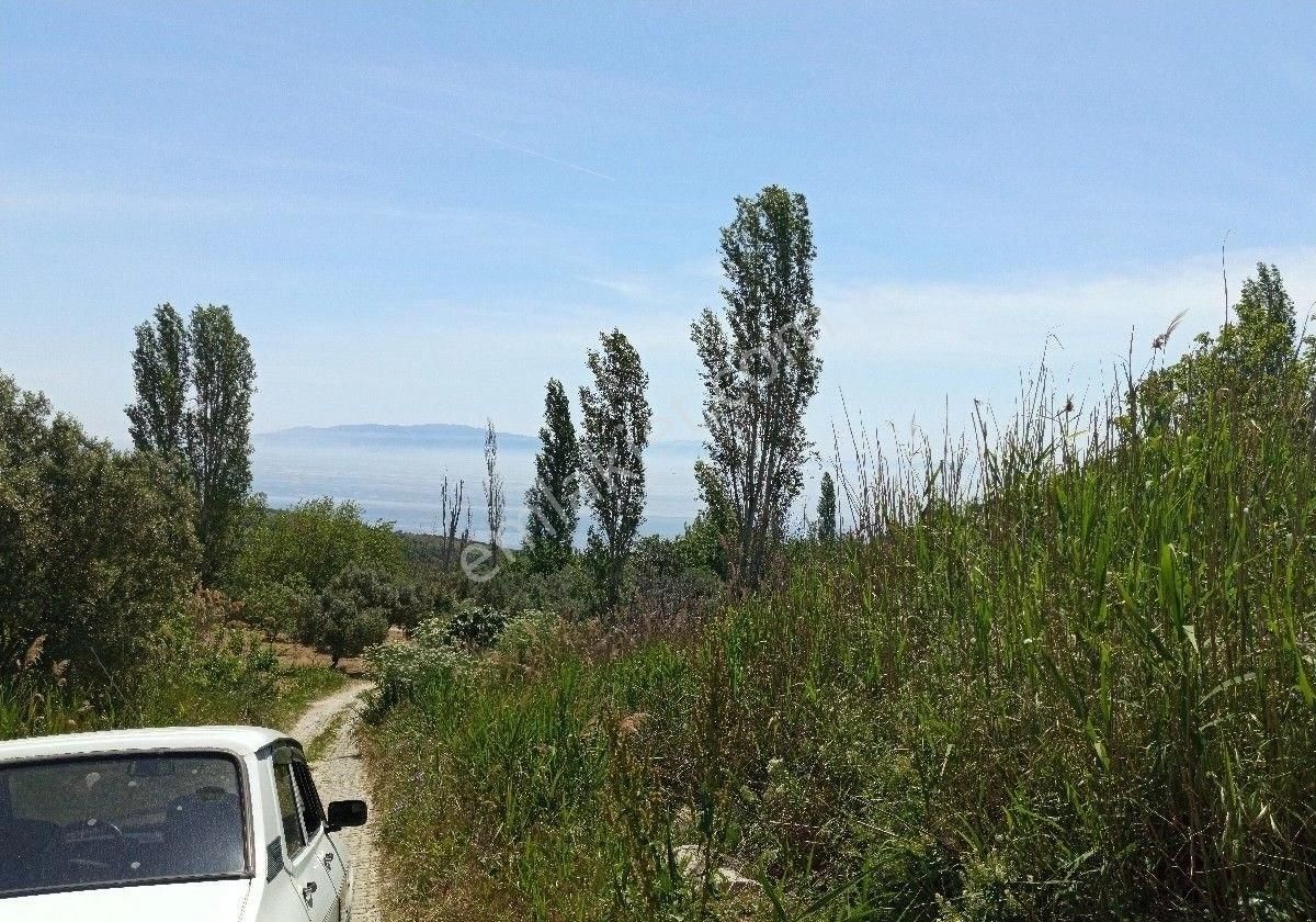 Bilge Emlak'tan Şarköy Çınarlı'da 2 Kat Projesi Çizik Hazır 157 Metre Full Deniz Manzaralı Arsa