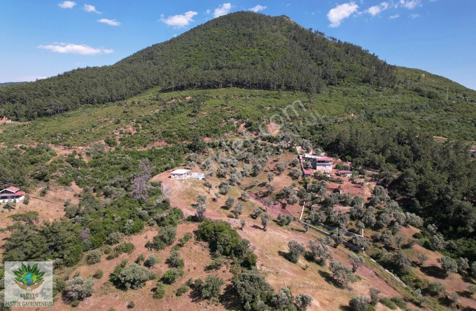 Pasifikten Orhanlı Orta Mahallede 4.213 M² Tek Tapu Zeytinlik - Görsel 5
