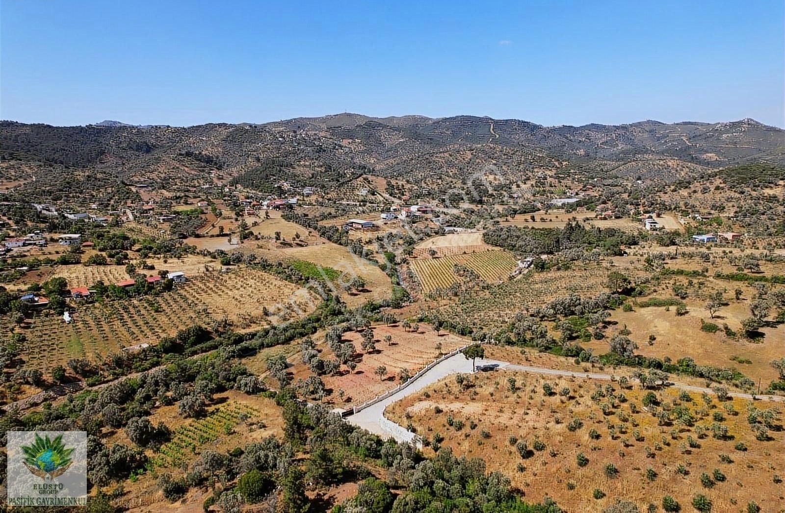 Pasifikten Orhanlı Orta Mahallede 4.213 M² Tek Tapu Zeytinlik - Görsel 3