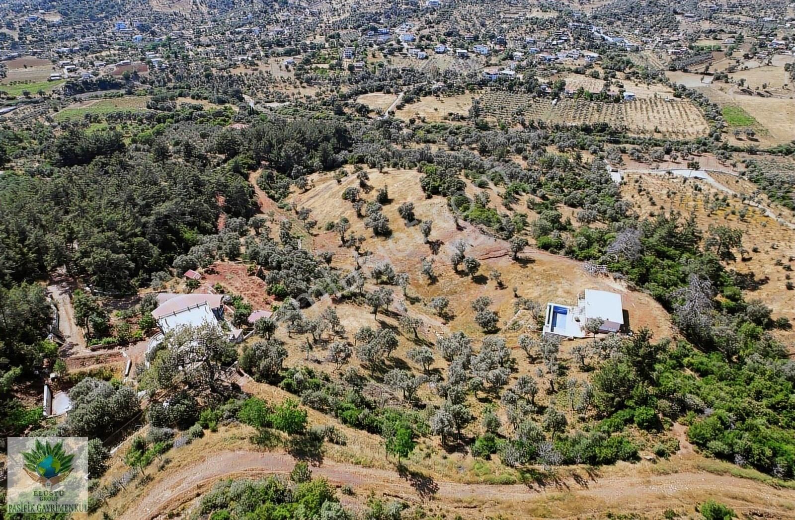 Pasifikten Orhanlı Orta Mahallede 4.213 M² Tek Tapu Zeytinlik - Görsel 14