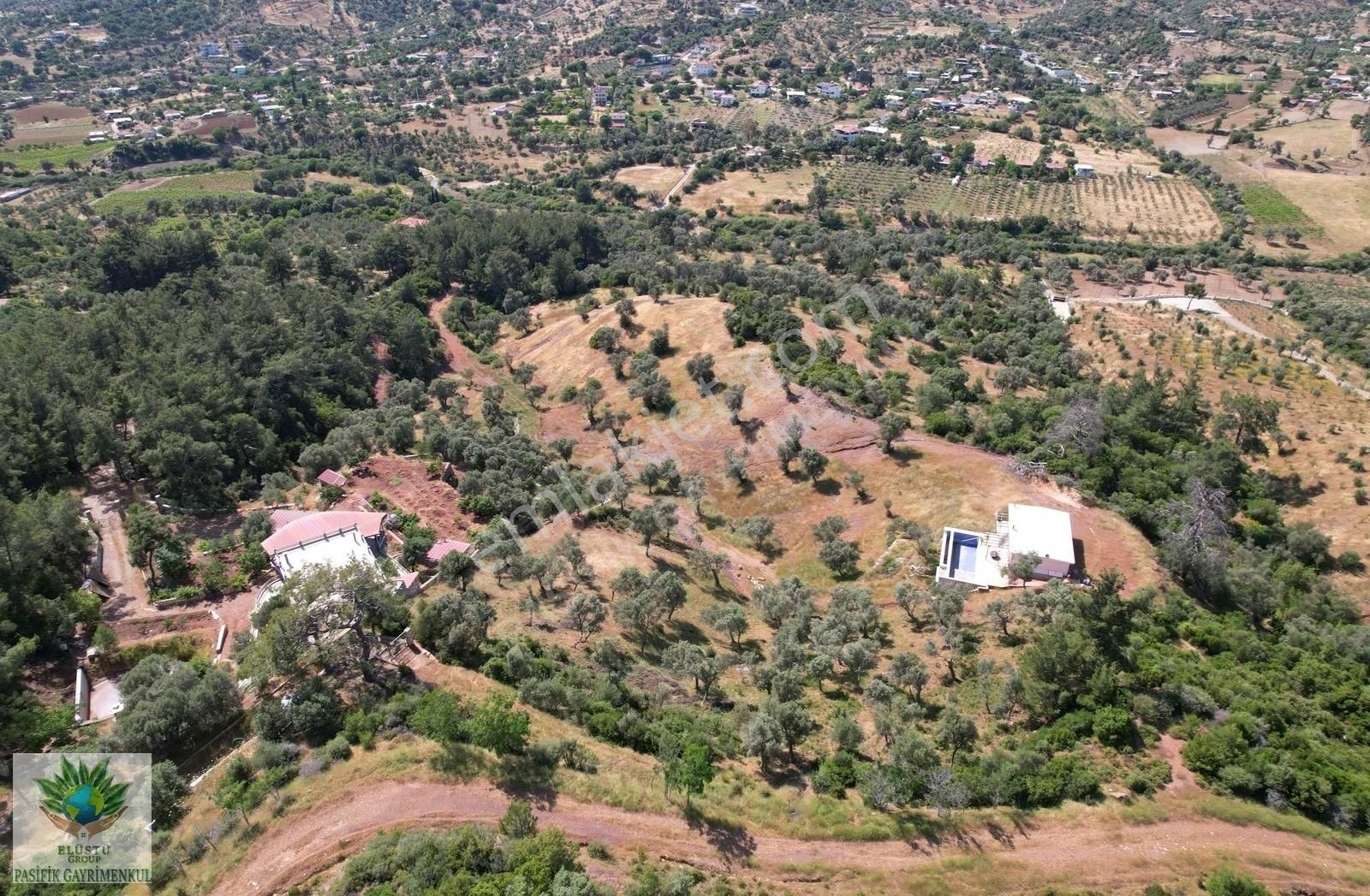 Pasifikten Orhanlı Orta Mahallede 4.213 M² Tek Tapu Zeytinlik - Görsel 13