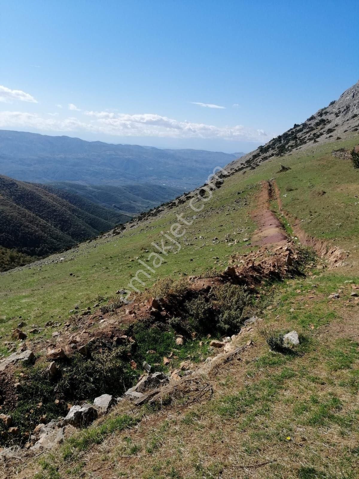 Altın Emlak'tan Fırsat Konut İmarlı Arsalar Üç Parsel Bir Fiyat - Görsel 5