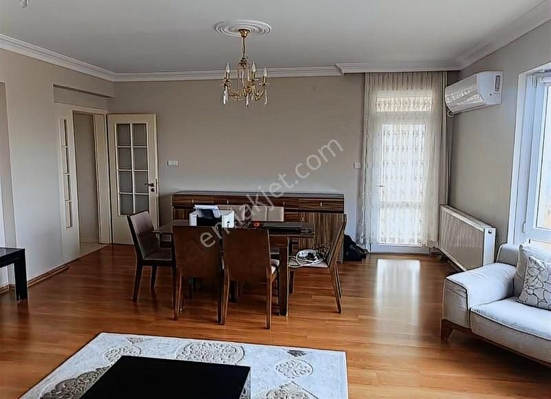Asagiokcularda Lux Daire