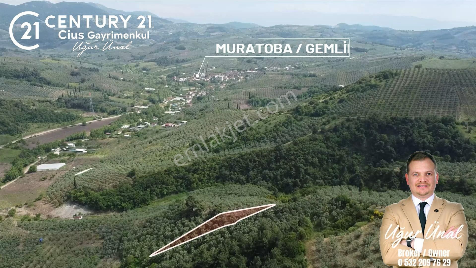 C21 Cius; Muratoba'da Kadastro Yola Cephe 983 M2 Zeytinlik