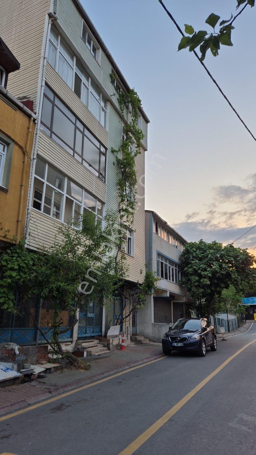 Geniş Daire