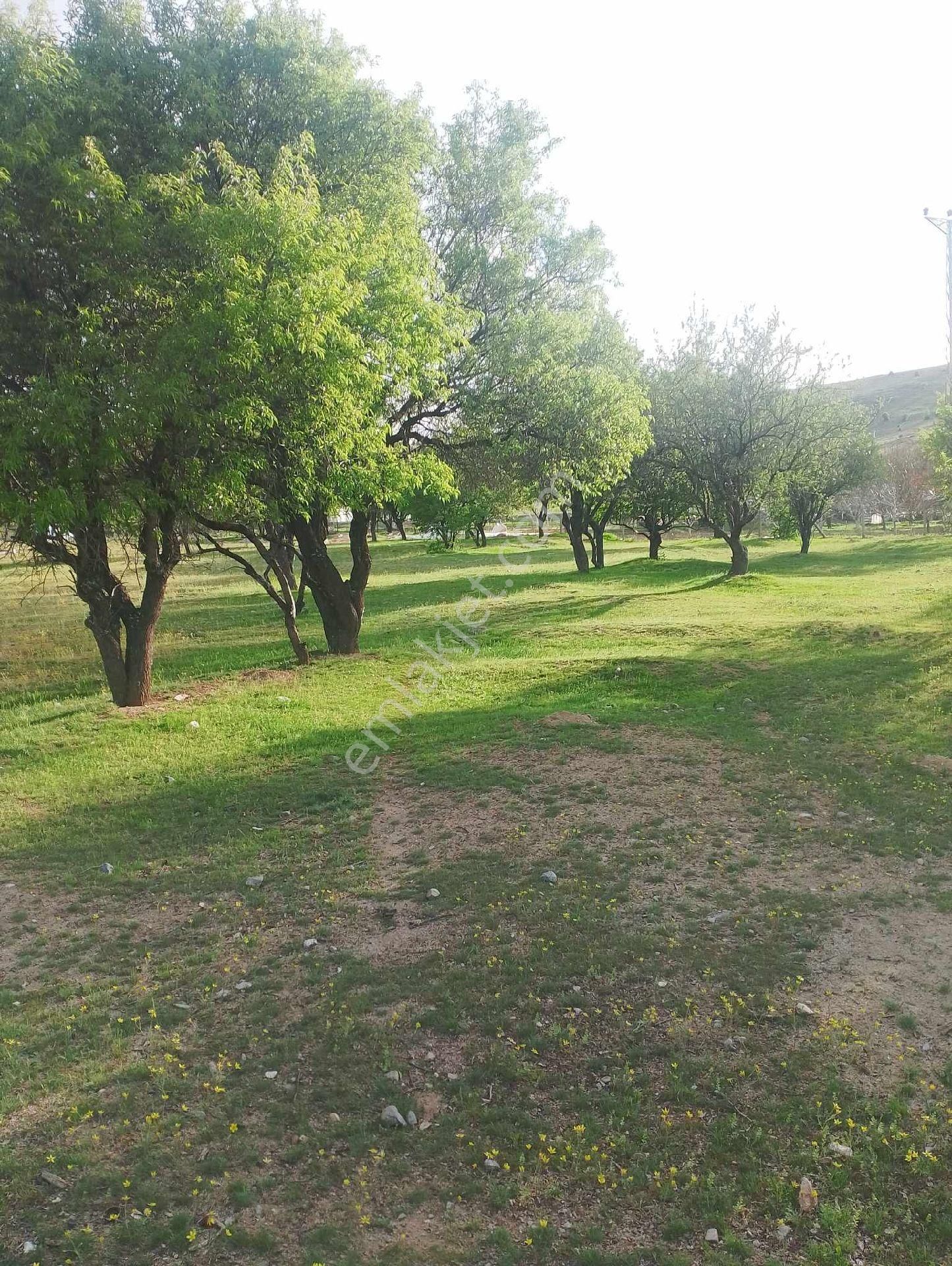Dişidi Kóyünde Satılık Bahçe