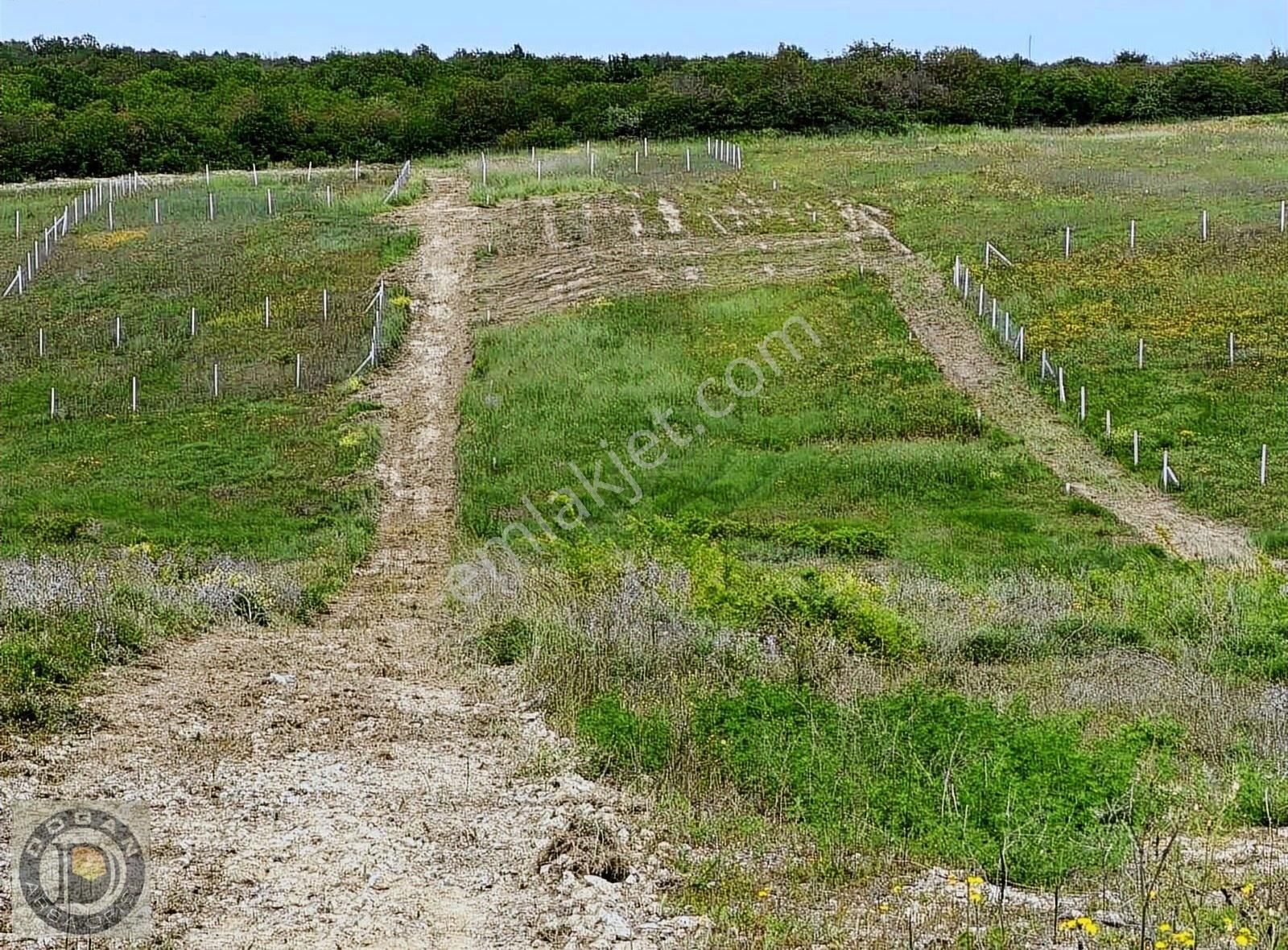 Silivri Çantada Konut İmarlı Göl Manzaralı 287 M2 Arsa - Görsel 13