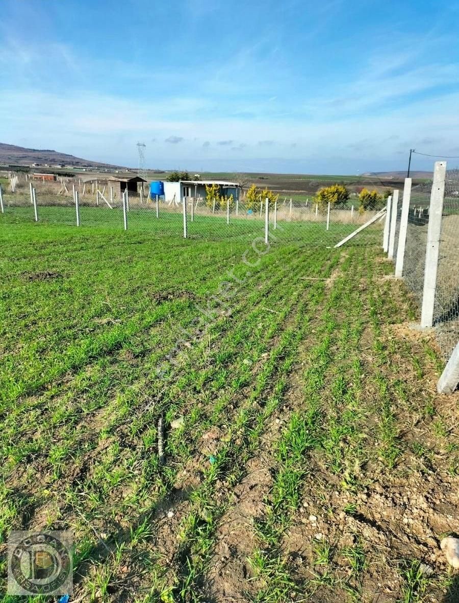 Silivri Balabanda Villalara Komşu 300 Metre Acil Satılık