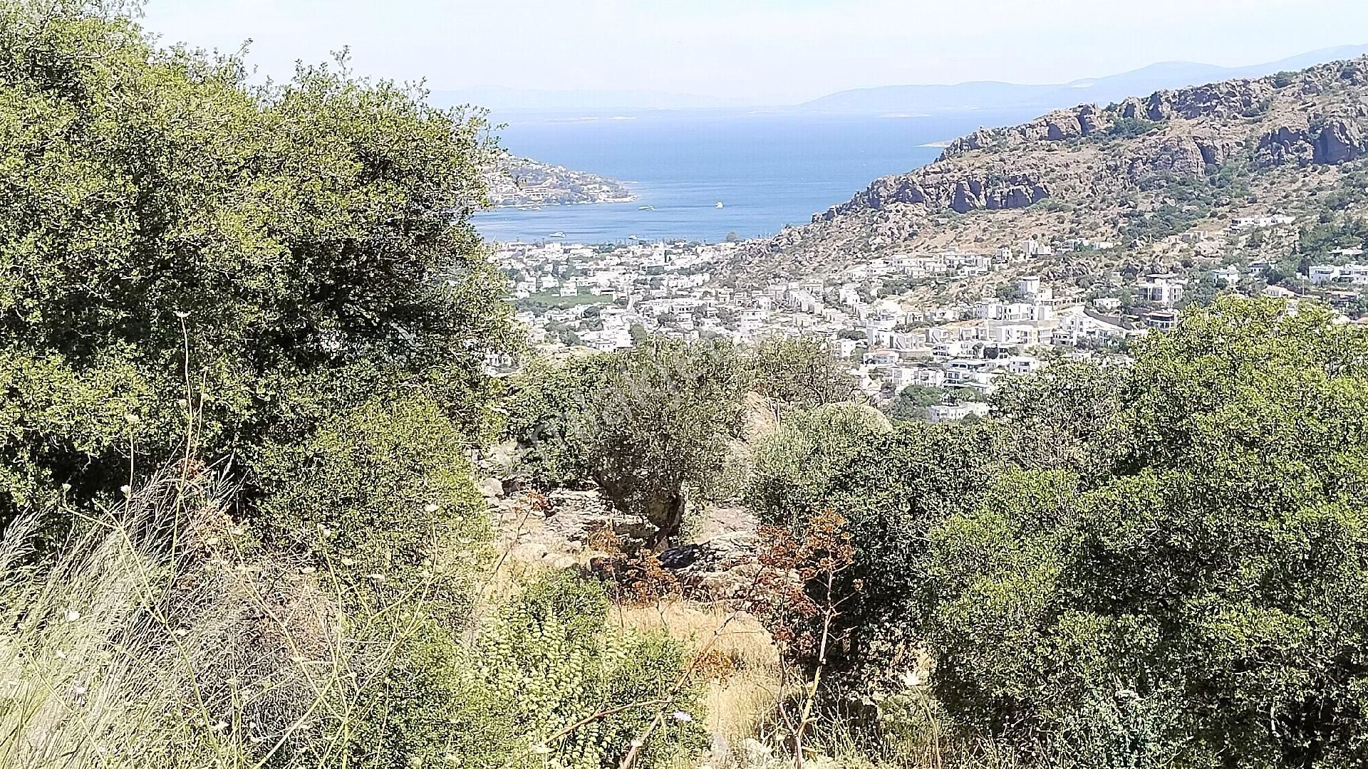 Bodrum Gündoğan Da Muhteşem Doğa Ve Deniz Manzaralı Satılık Arsa