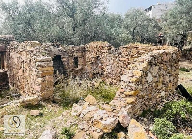 Fırsat Fiyat... Numarataj Almaya Uygun. Resmi Yolu Var. - Görsel 2