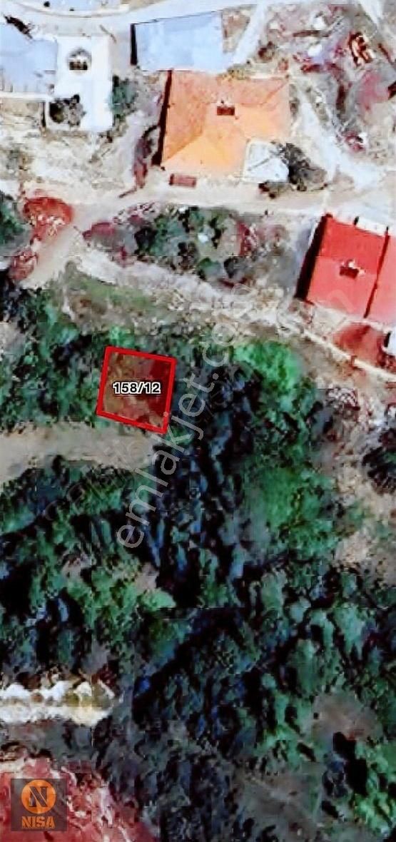 Nisadan Acil Satılık Çok Hesaplı Bahçe Yeri