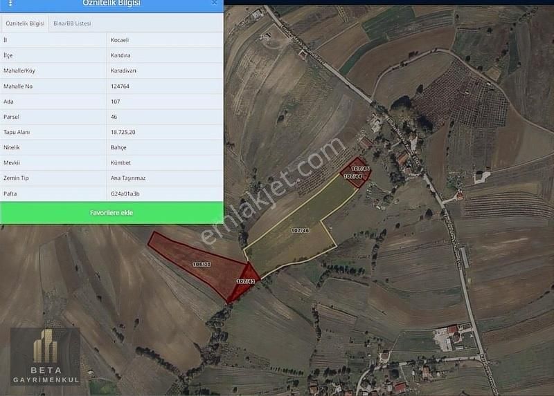 Kandıra Karadivan Yatırım Fırsatı Arsalar - Görsel 2