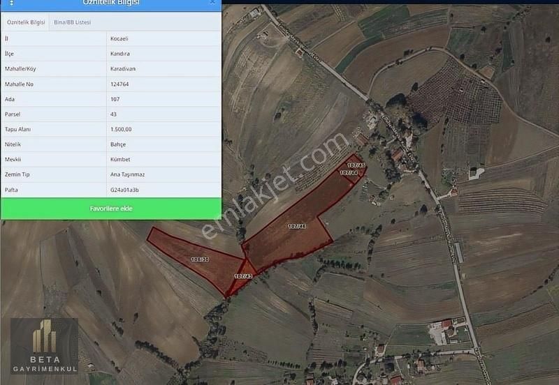 Kandıra Karadivan Yatırım Fırsatı Arsalar - Görsel 4