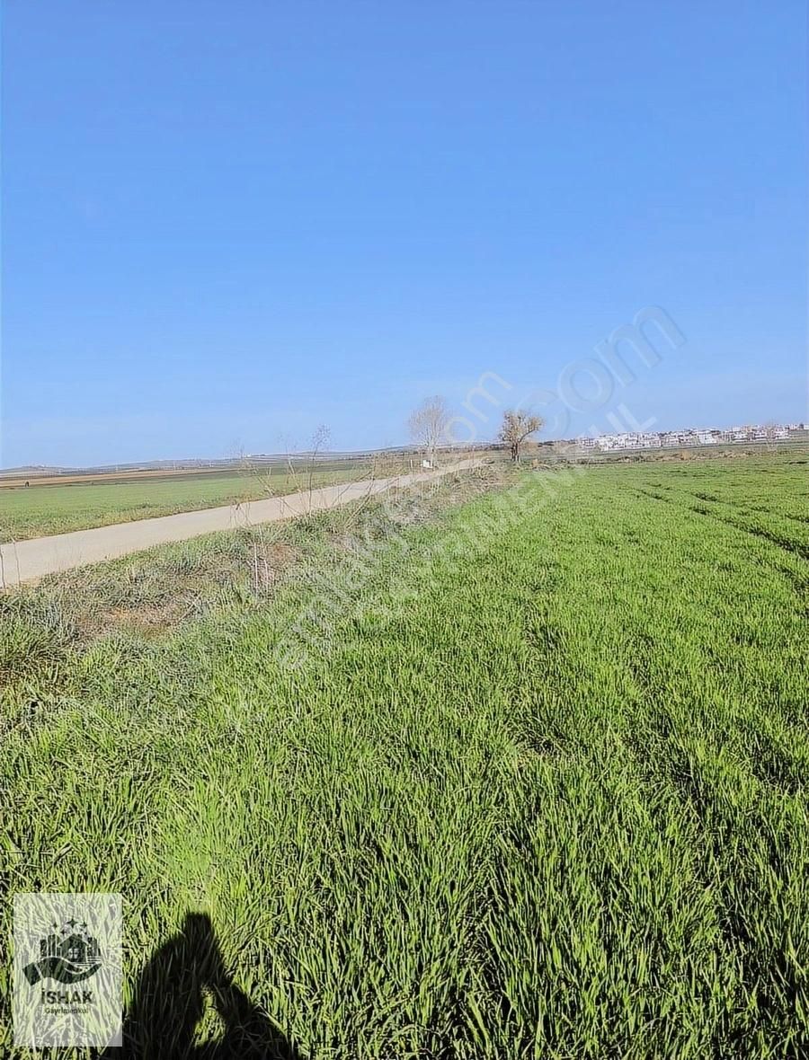 Tekirdağ Marmaraereğlisi Çeşmelide Tarladan Satılık Hisse