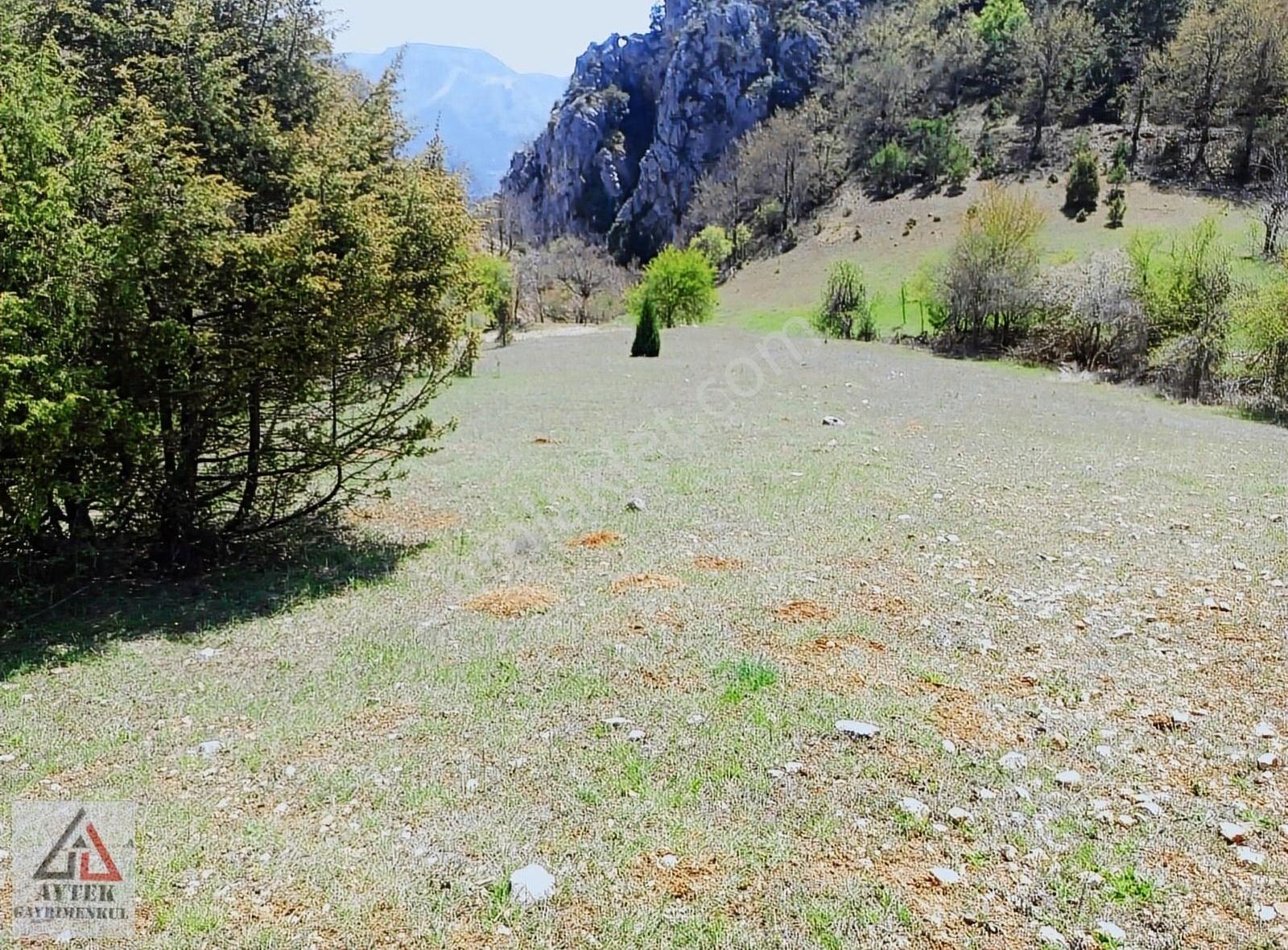 Bilecik Gölpazarı Goldaginda 1700 Bahçe - Görsel 31