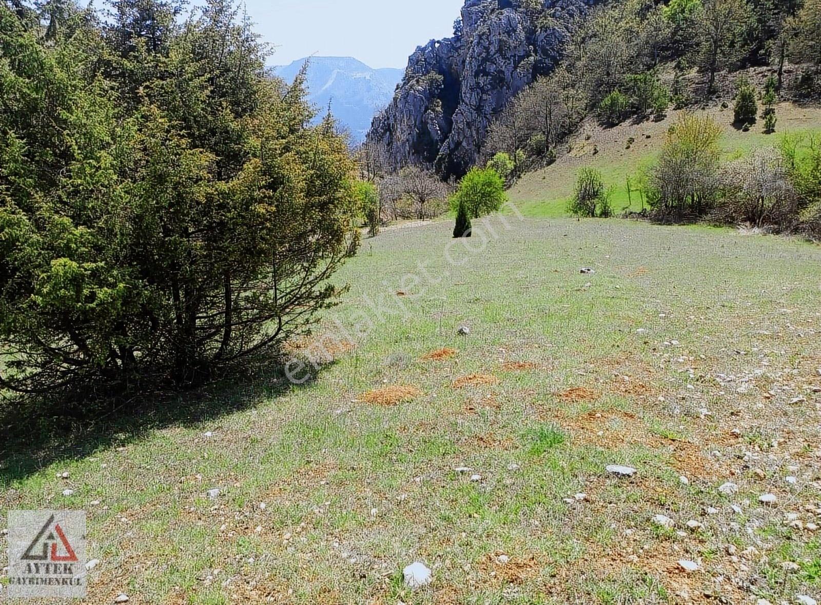 Bilecik Gölpazarı Goldaginda 1700 Bahçe - Görsel 13