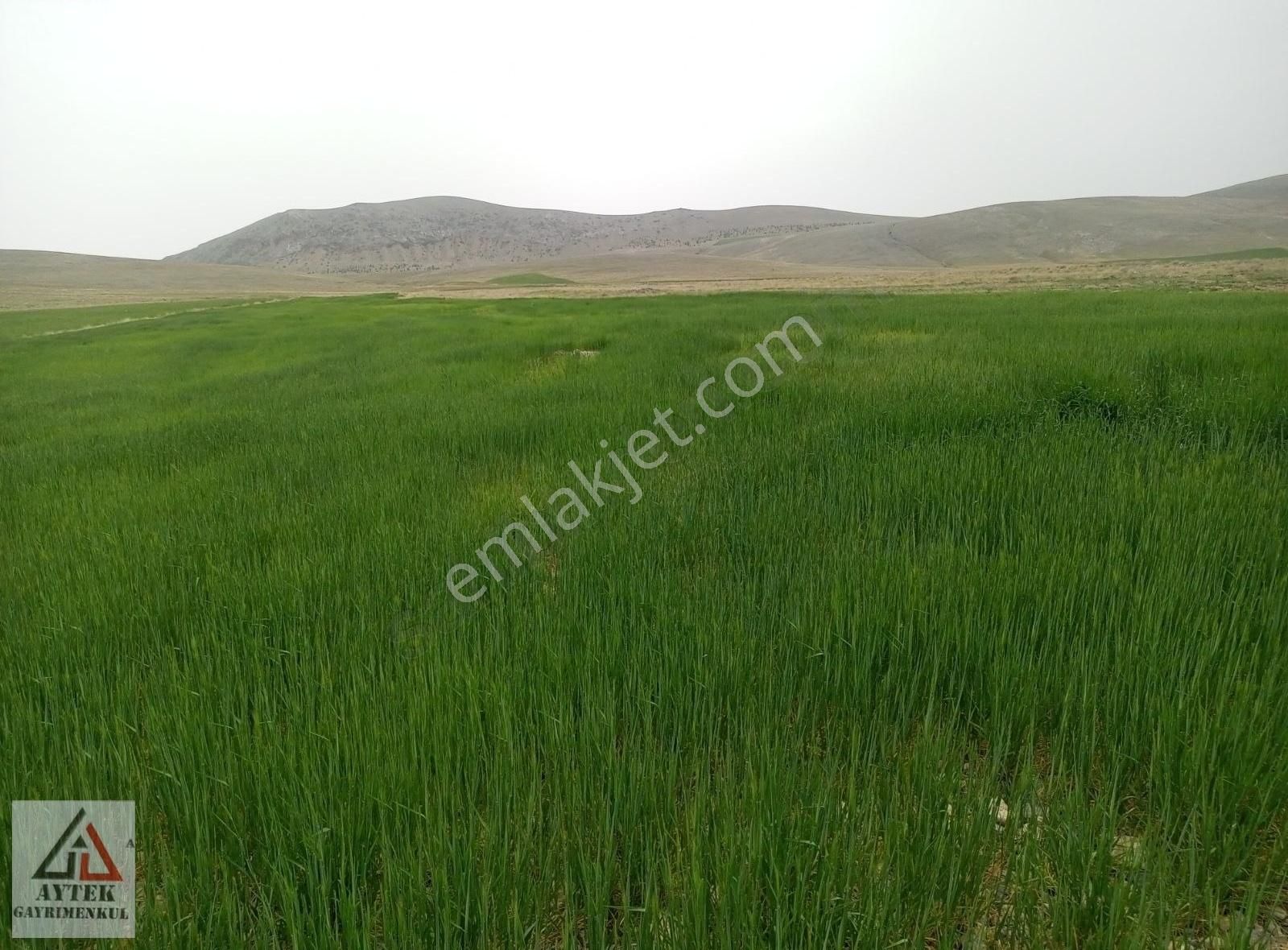 Afyon Sultandağı Cukurcak Köyünde Kelepir 10200 M2 Arsa. - Görsel 31