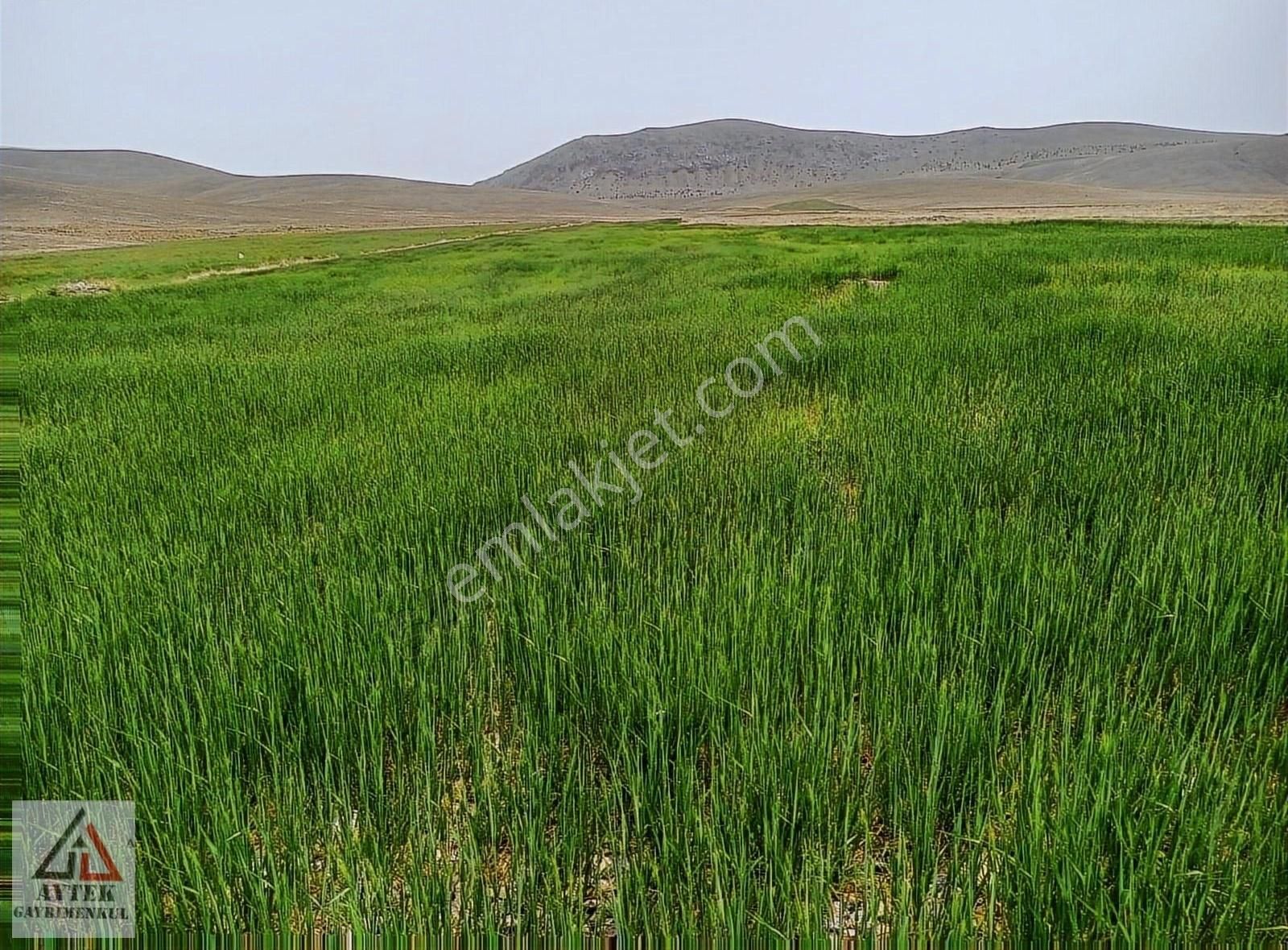Afyon Sultandağı Cukurcak Köyünde Kelepir 10200 M2 Arsa. - Görsel 22