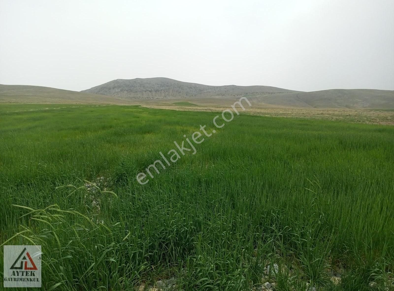 Afyon Sultandağı Cukurcak Köyünde Kelepir 10200 M2 Arsa. - Görsel 23