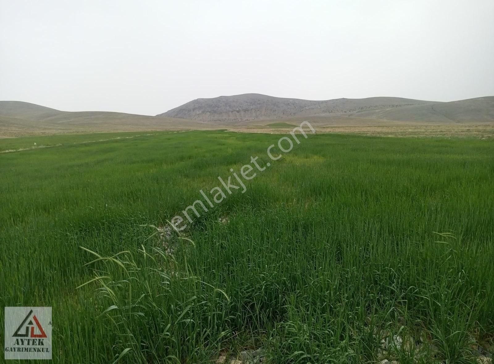 Afyon Sultandağı Cukurcak Köyünde Kelepir 10200 M2 Arsa. - Görsel 25