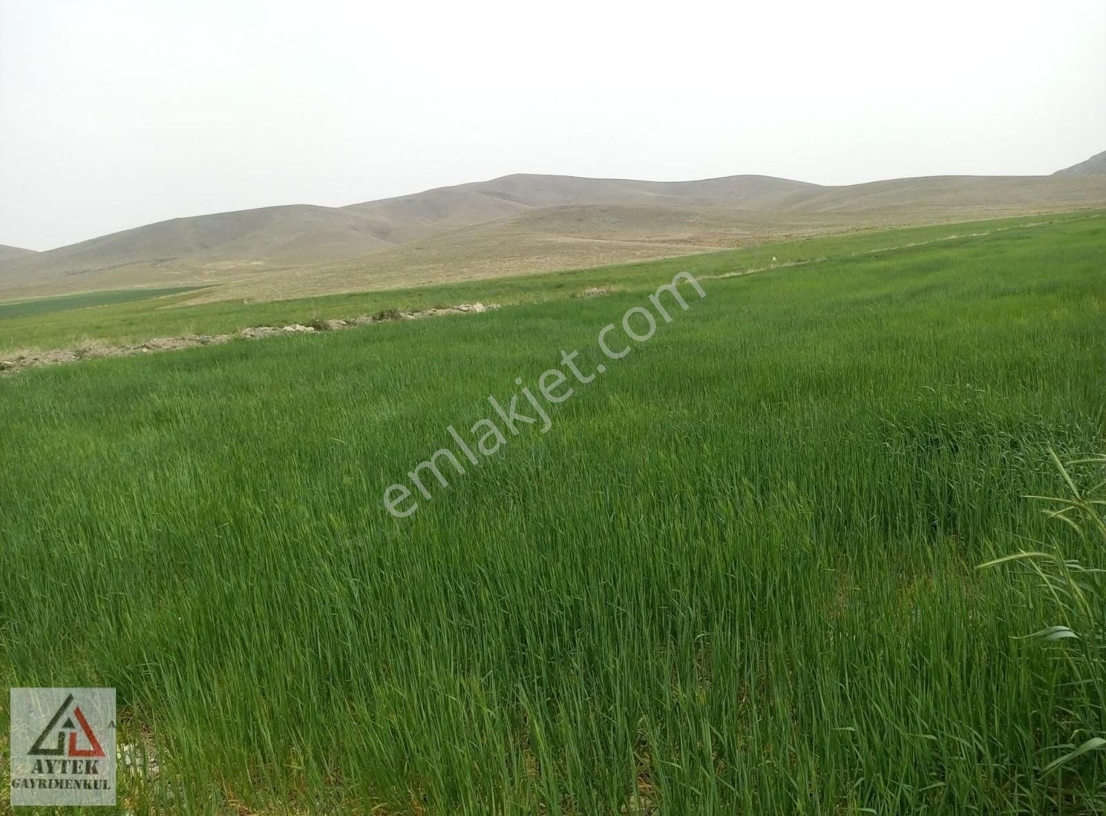 Afyon Sultandağı Cukurcak Köyünde Kelepir 10200 M2 Arsa. - Görsel 18