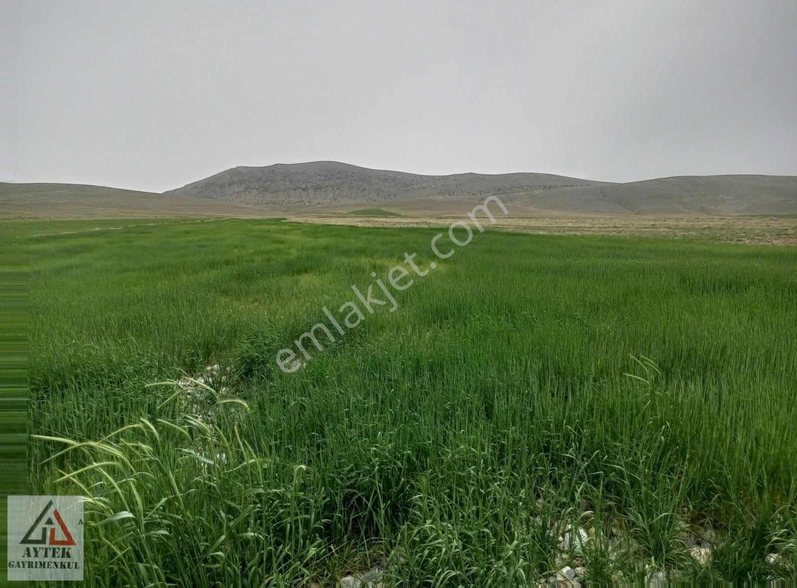 Afyon Sultandağı Cukurcak Köyünde Kelepir 10200 M2 Arsa. - Görsel 8