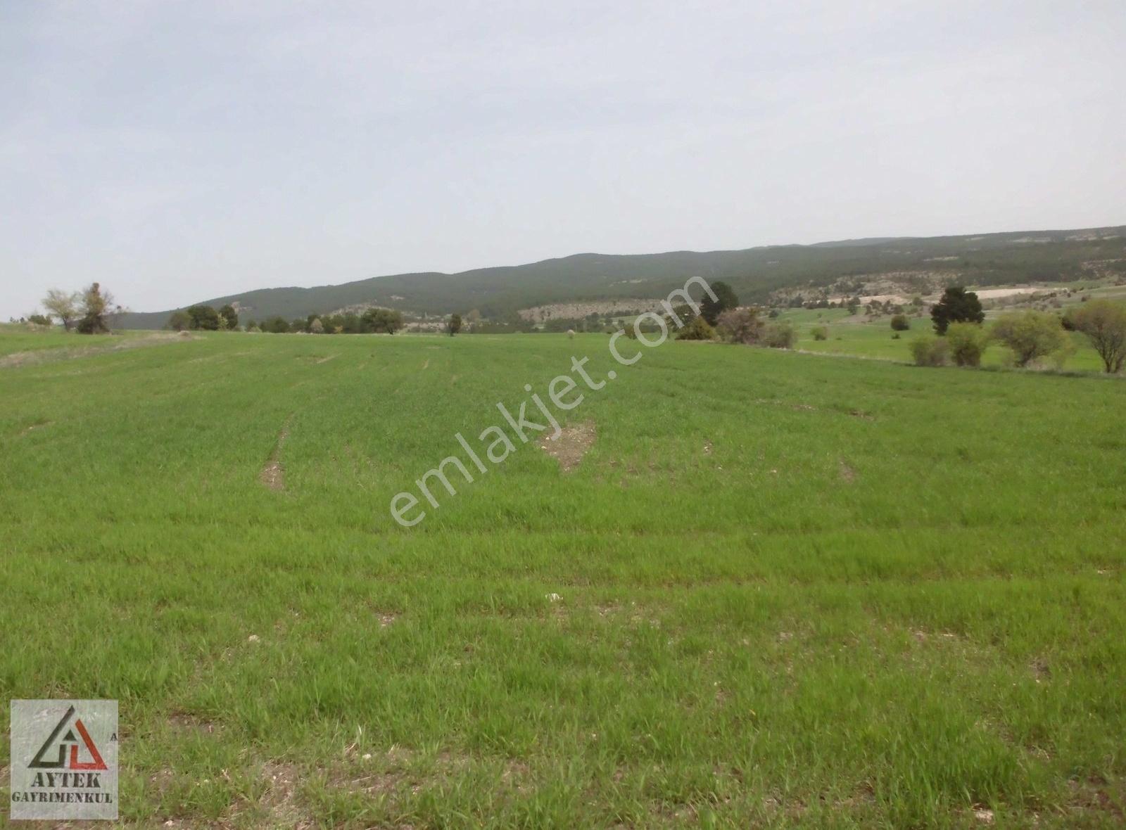 Kütahya Emet Çerte Yıldırım Mah 3774 M2 Arsa Kelepir - Görsel 24