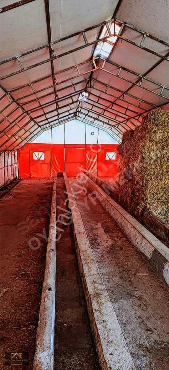 İzmit Süleymaniye Köyünde Kiralik 6726 M2 Arsa