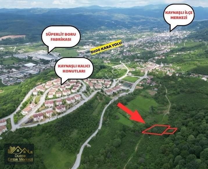 Kaynaşlı Çele'de 3.773m2 D100e 1km Mesafede Fındıklık
