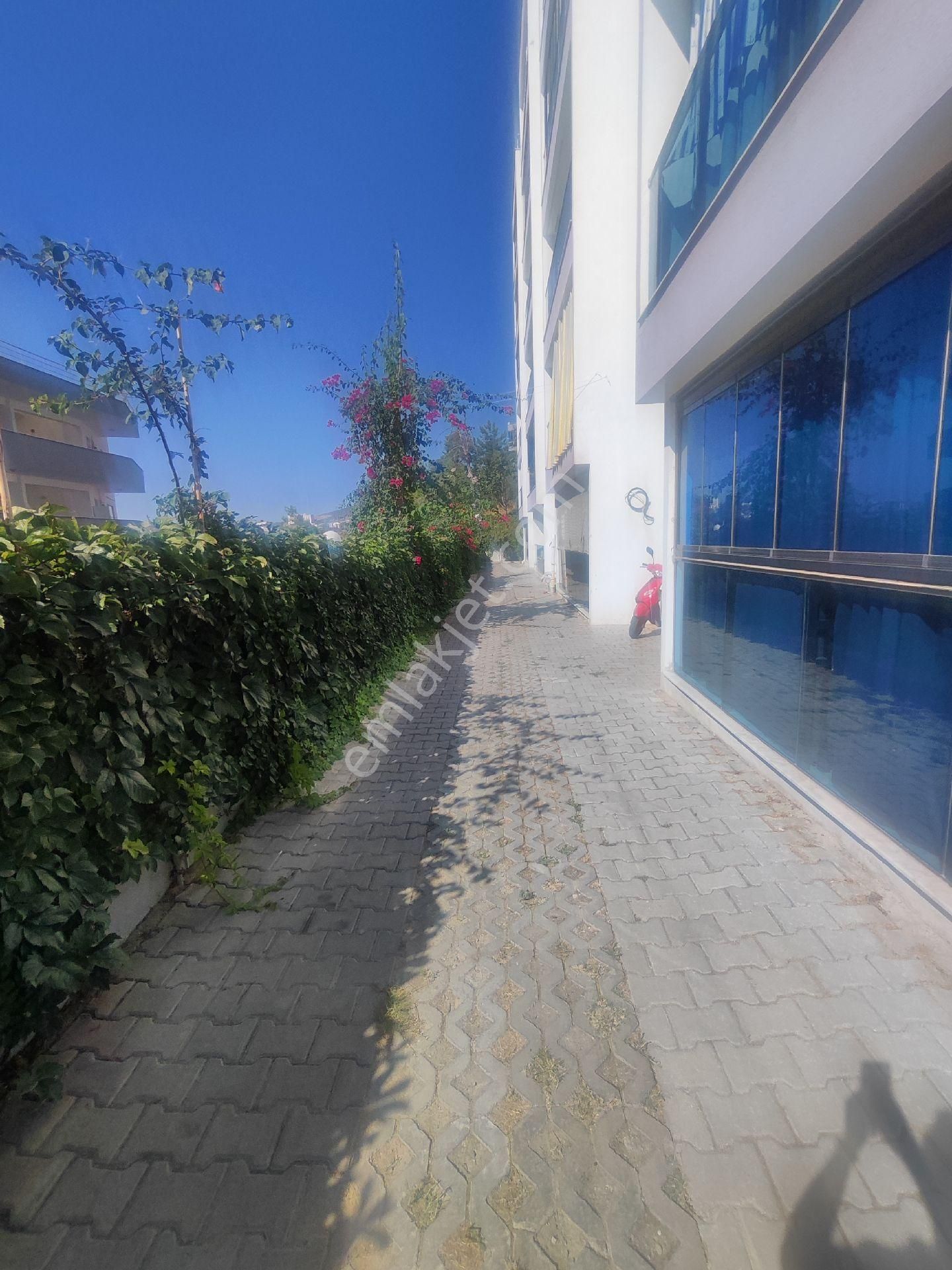 Havuzlu, Yatırımlık Site İcinde 1+1 Daire - Görsel 16