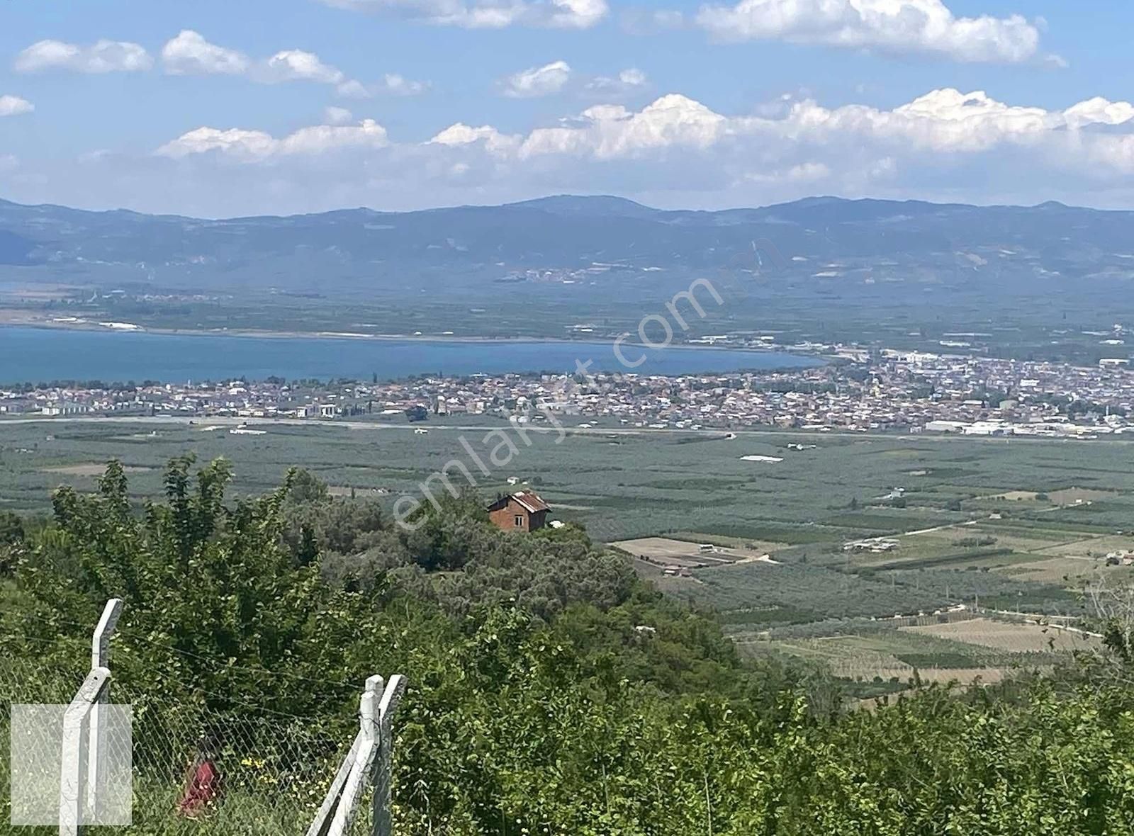 Şerefiye Köyünde Tamamı Göl Manzaralı Tarla
