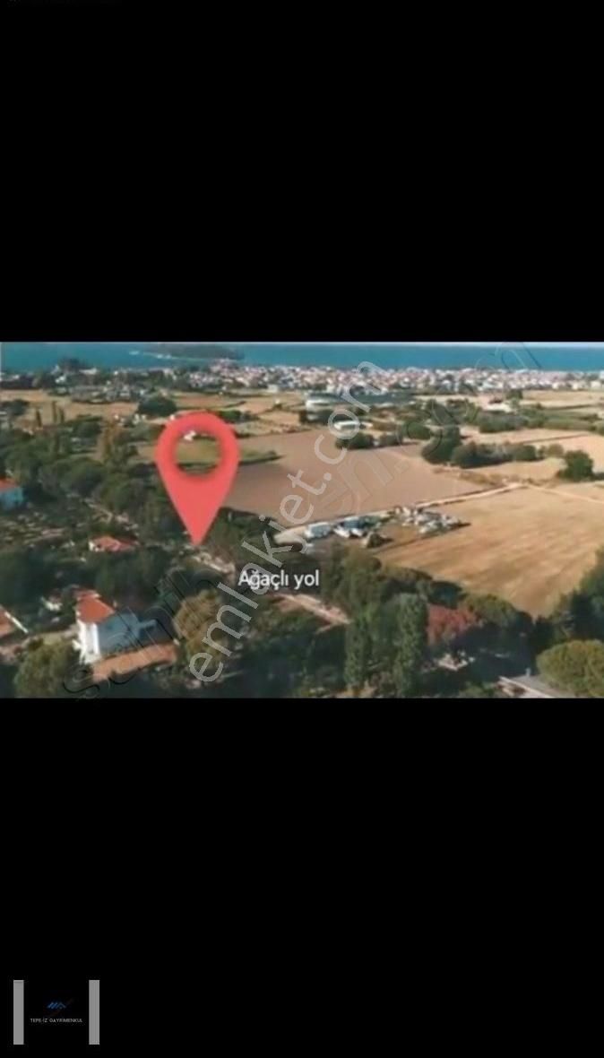 Urla İskelede 4.845m2 Ağaçlı Yolda1/5000'lik De Tarla