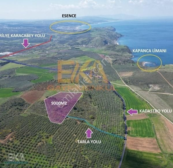 Eka Gayrimenkulden Tirilye Halilbey Satılık Ful Deniz Manzaralı