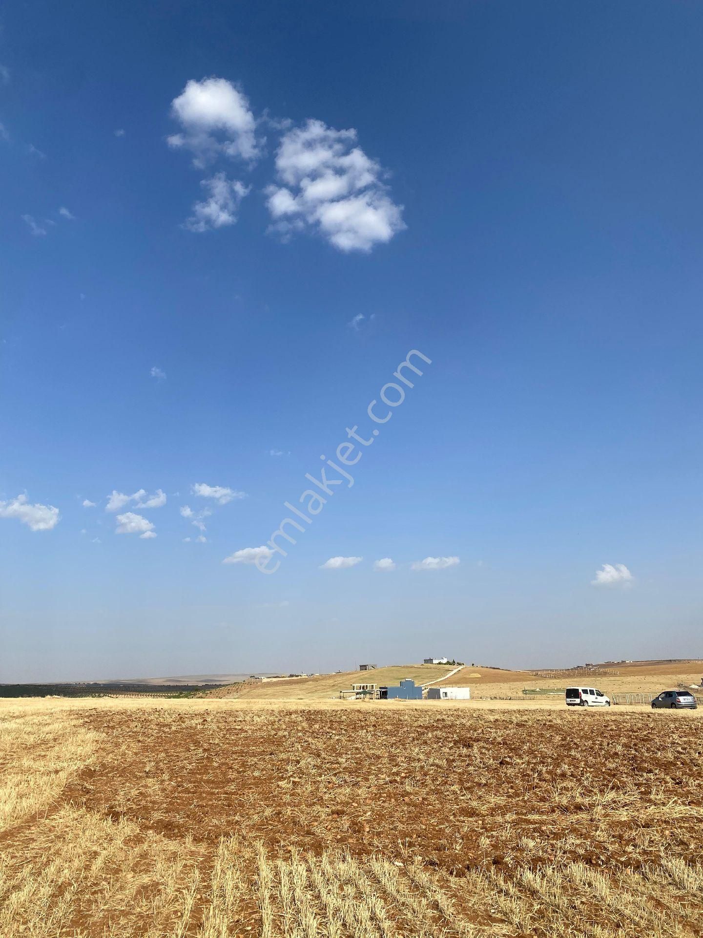 Bağ Bahçe İçin Güzel Arsa